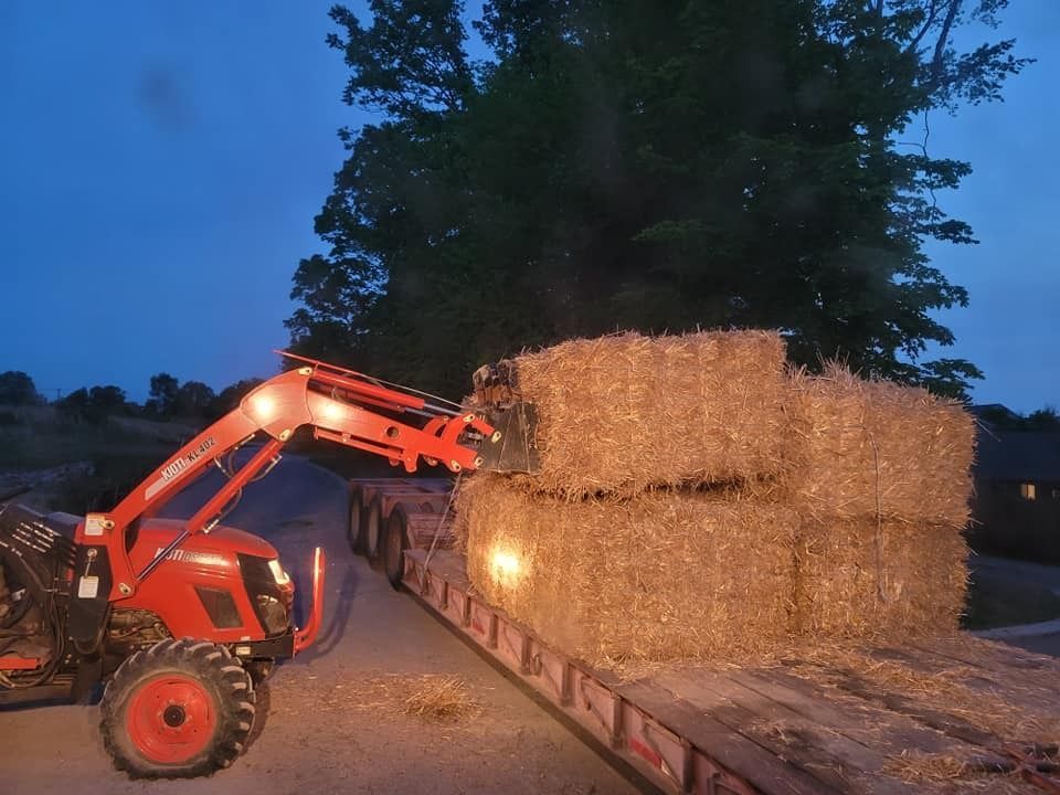 A red tractor with a loader stacks hay bales onto a flatbed trailer at dusk.