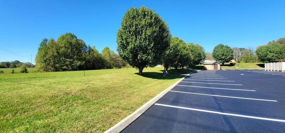 Trees line a parking lot adjacent to a grassy field under a clear, blue sky.