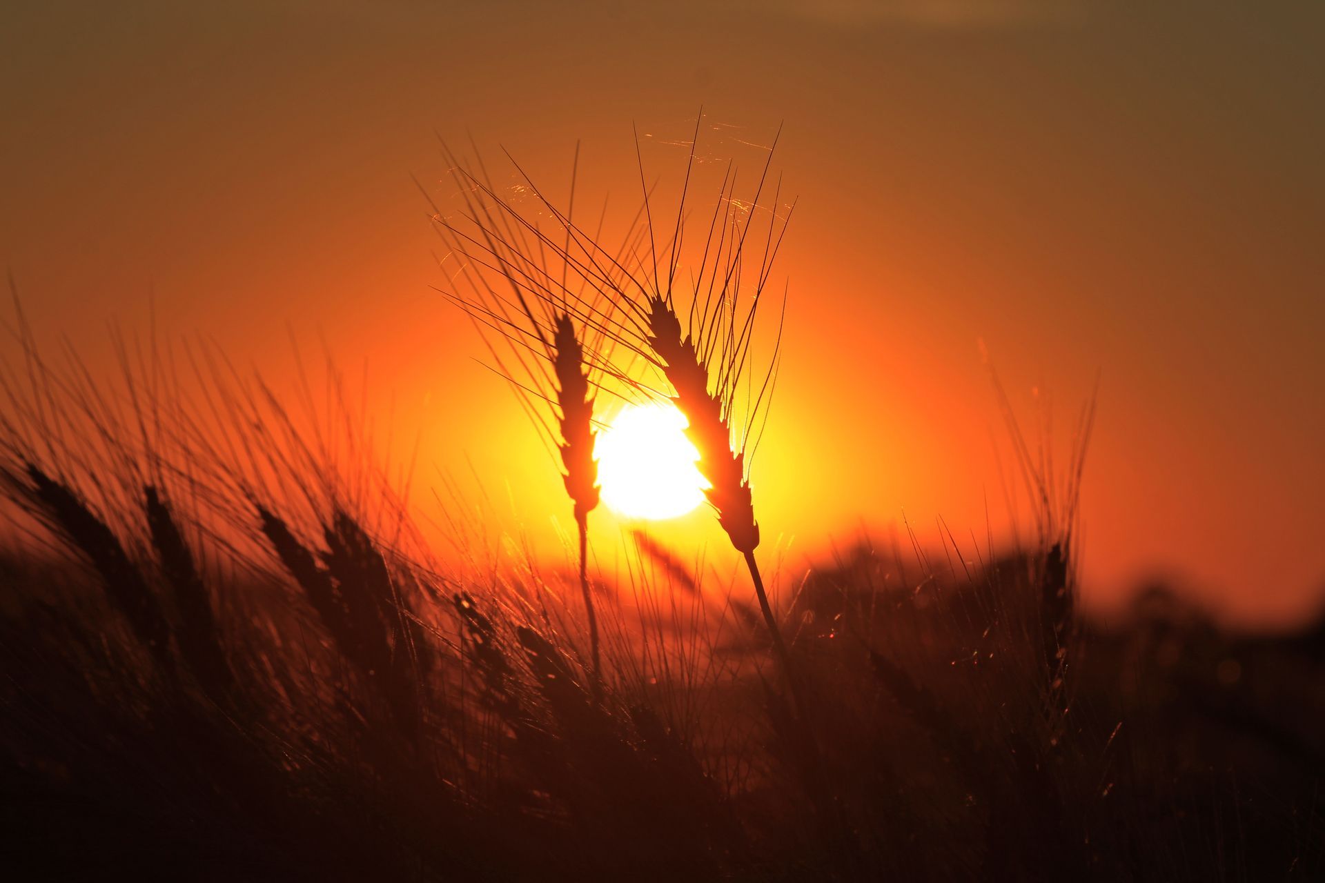 A man and a woman are holding hands over a wooden table.
