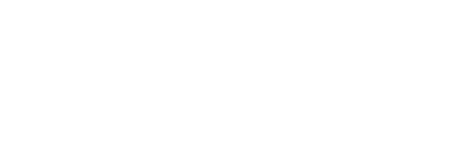 Accurate Business Solutions white logo