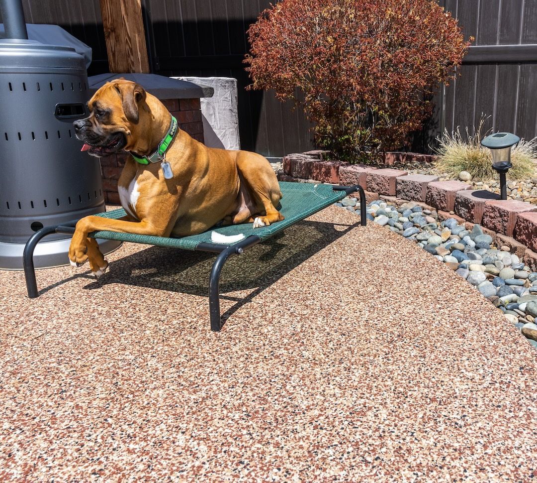 Polyurea Outdoor Kennel Flooring The Best Choice for All Paws