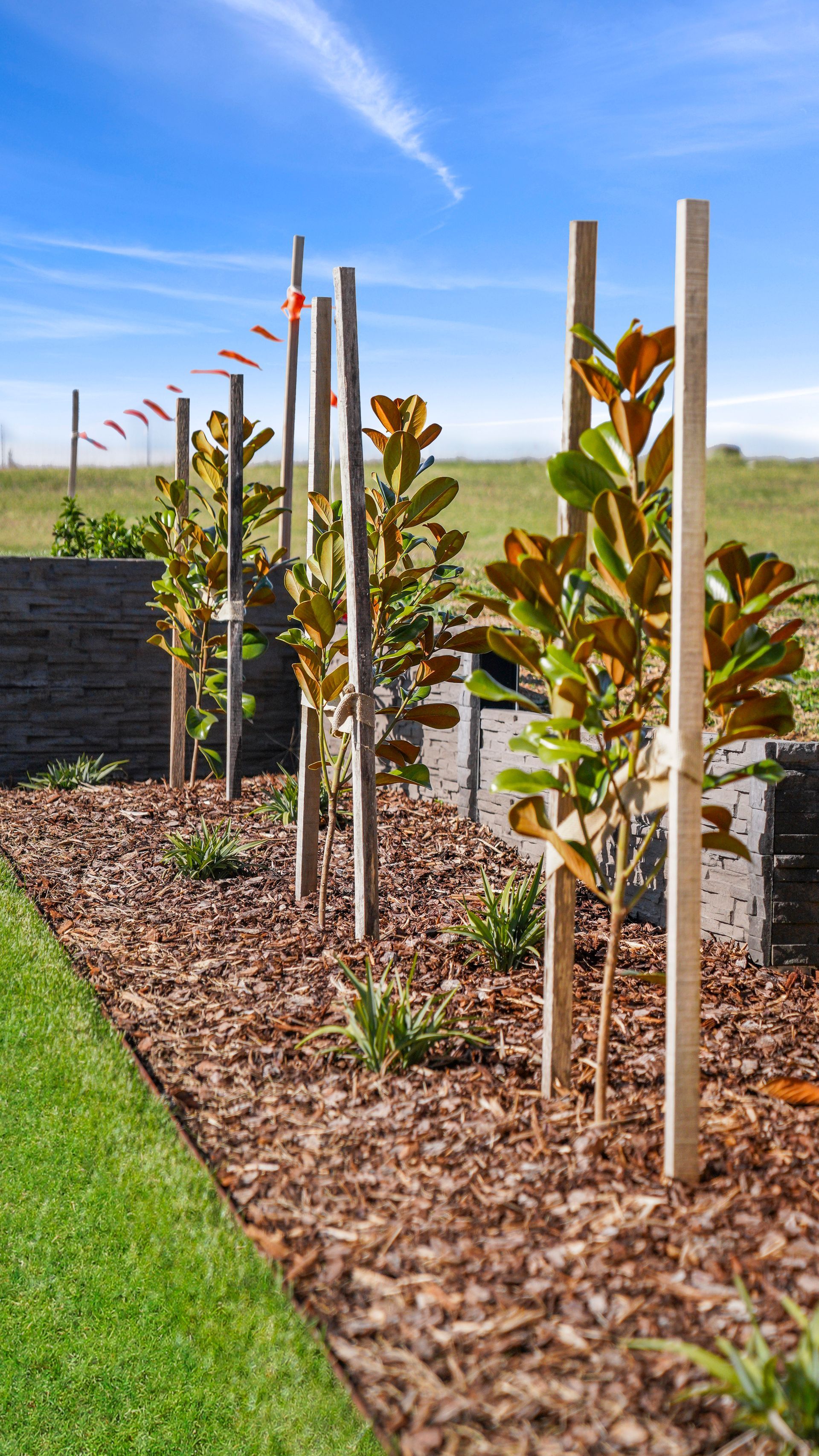 Formal landscape construction in Bathurst NSW- concrete sleeper retaining walls, native-exotic garden beds and manicured lawn