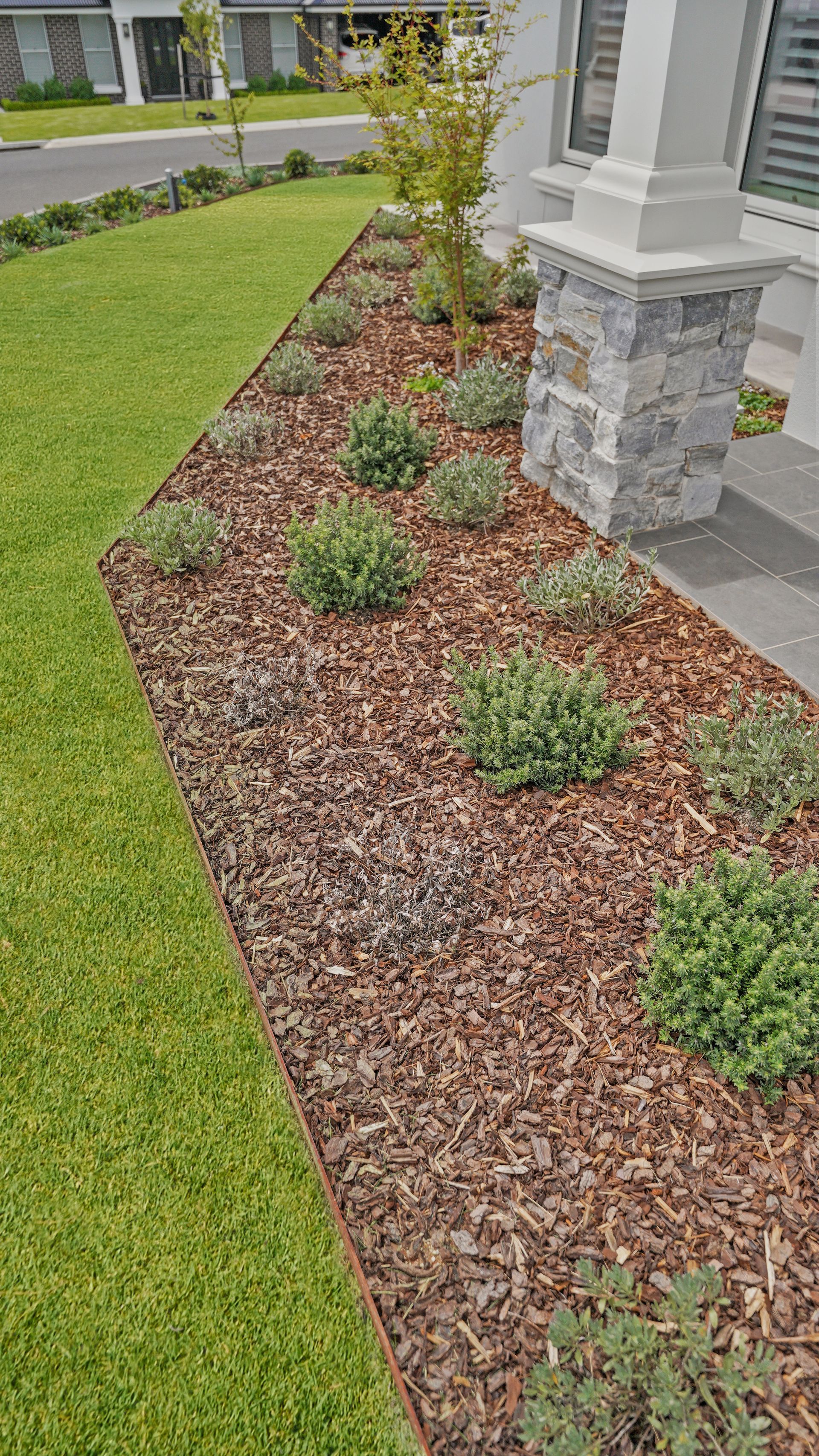 Modern landscape garden bed with steel edging, native garden beds and manicured lawn in a residential landscape