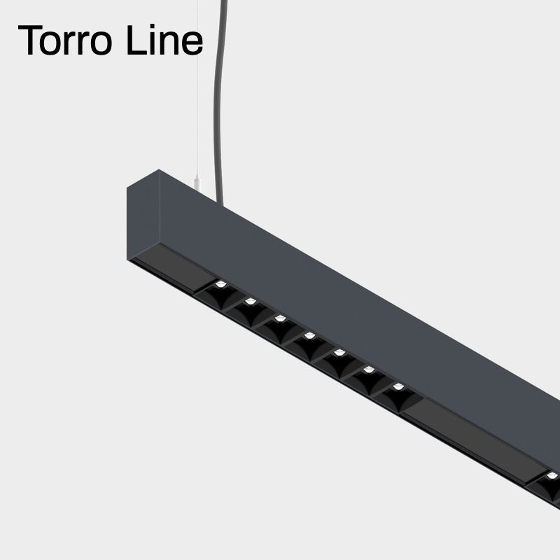 Organic Torro