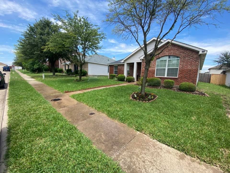 Startex Landscaping Customer Project Gallery