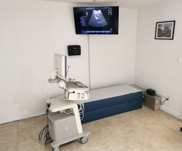 ULTRASONIDO SONOGENIK