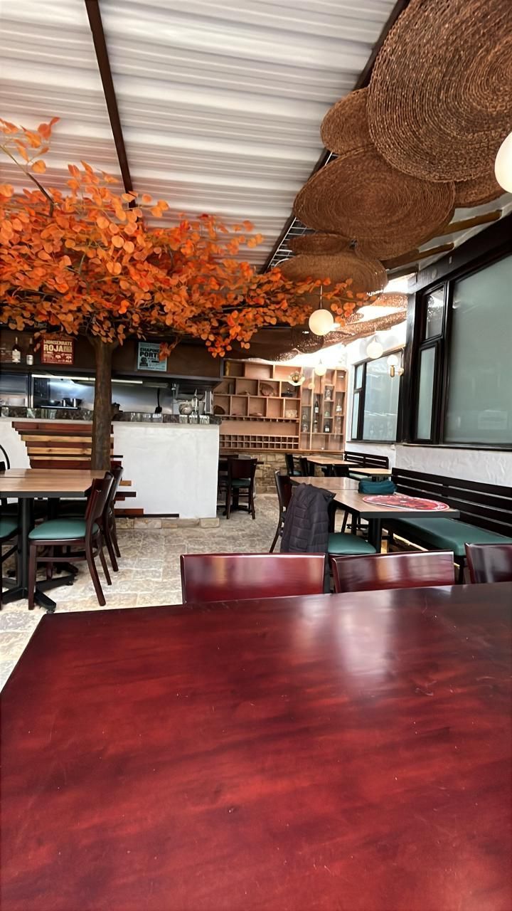 Interior del restaurante con mesas, sillas y naranjos bajo un techo parcialmente cubierto.