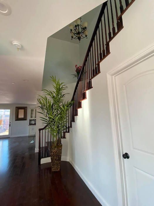 A hallway with stairs and a potted plant on the floor.
