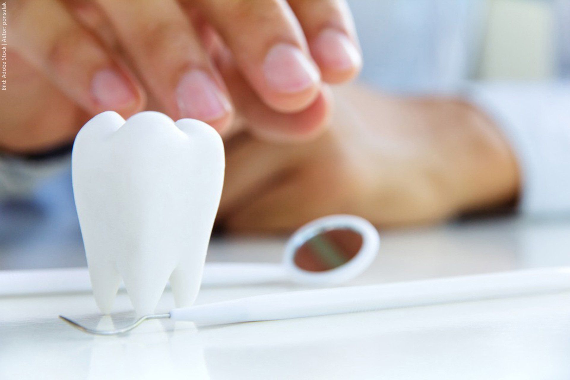 A person is holding a model of a tooth next to a dental mirror.