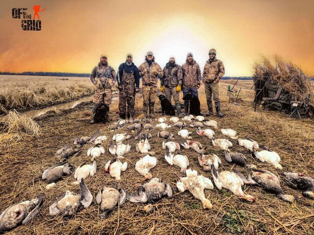 Arkansas canada discount goose hunting