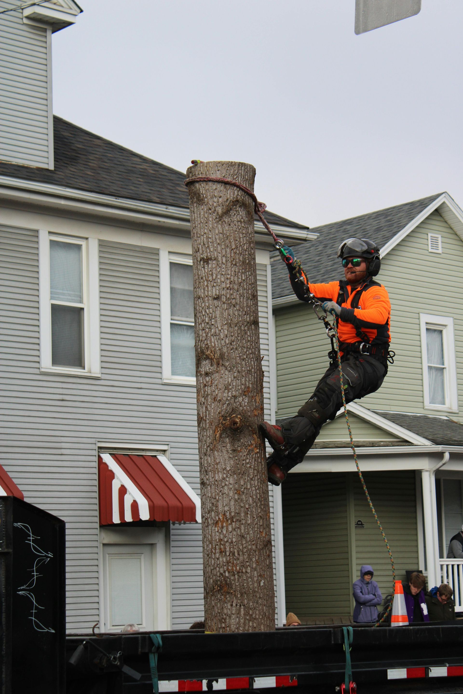 Arborist in orange shirt, helmet, and harness, climbing a tree trunk on a truck bed near houses.