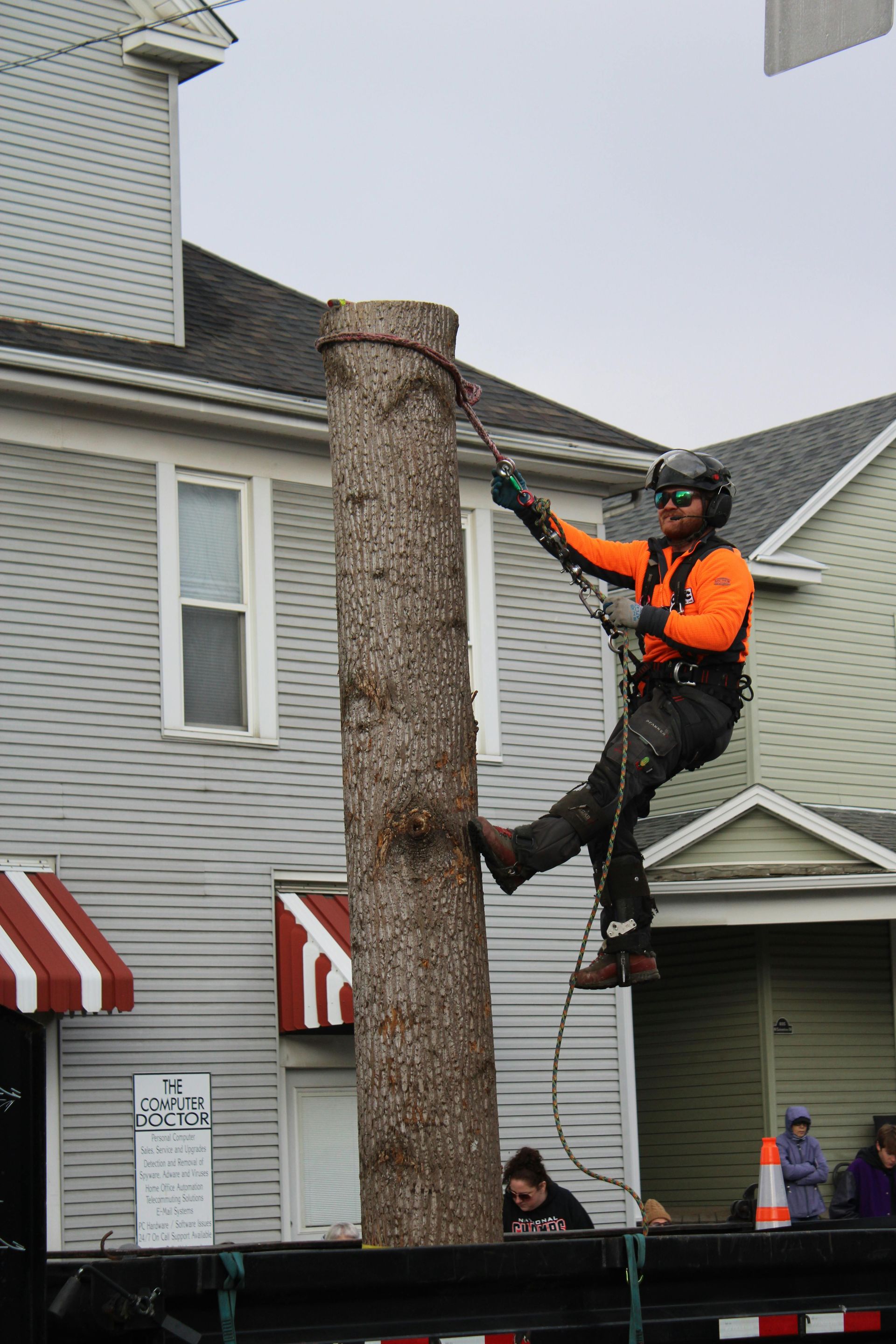 Arborist in orange climbing a tree trunk, with ropes and a safety harness, near a building.