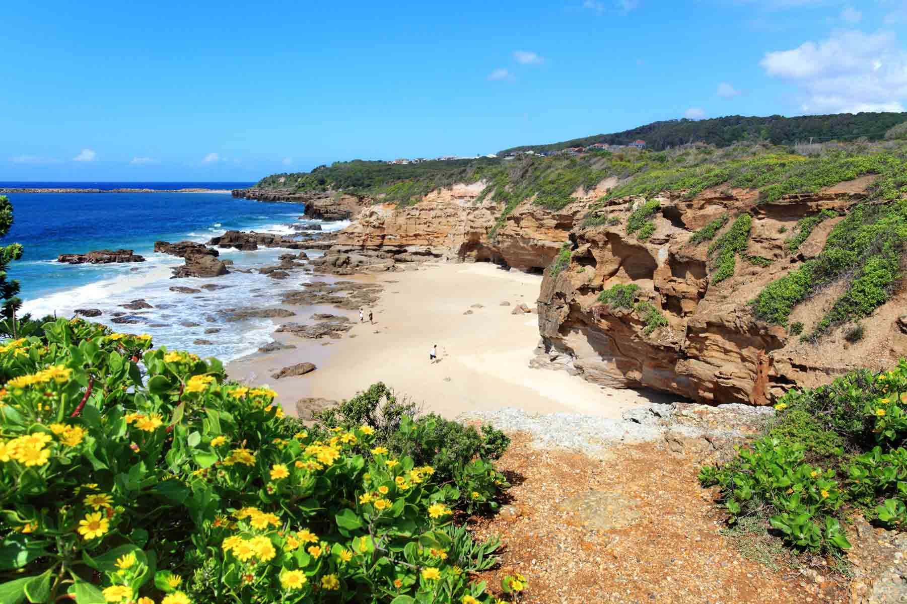 A Beach With A Lot Of Rocks And Flowers In The Foreground — Shop Fittings Office Furniture Materials Handling In Botany, NSW