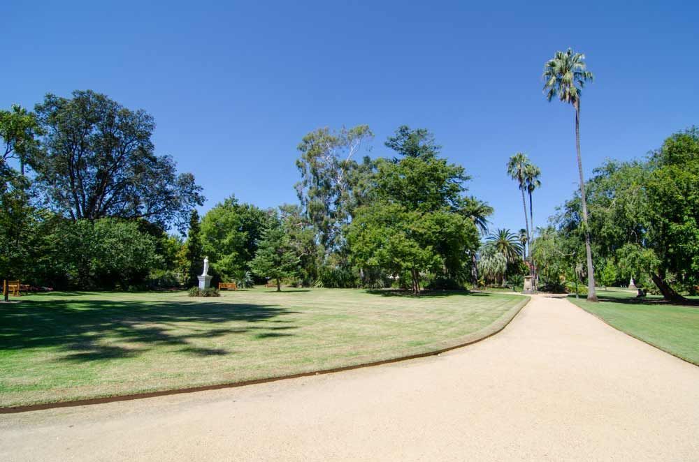 A Dirt Path Going Through A Park With Palm Trees — Shop Fittings Office Furniture Materials Handling In Botany, NSW