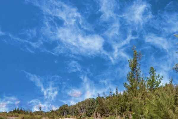 There Are Trees In The Foreground And A Blue Sky With Clouds In The Background — Shop Fittings Office Furniture Materials Handling In Smithfield, NSW