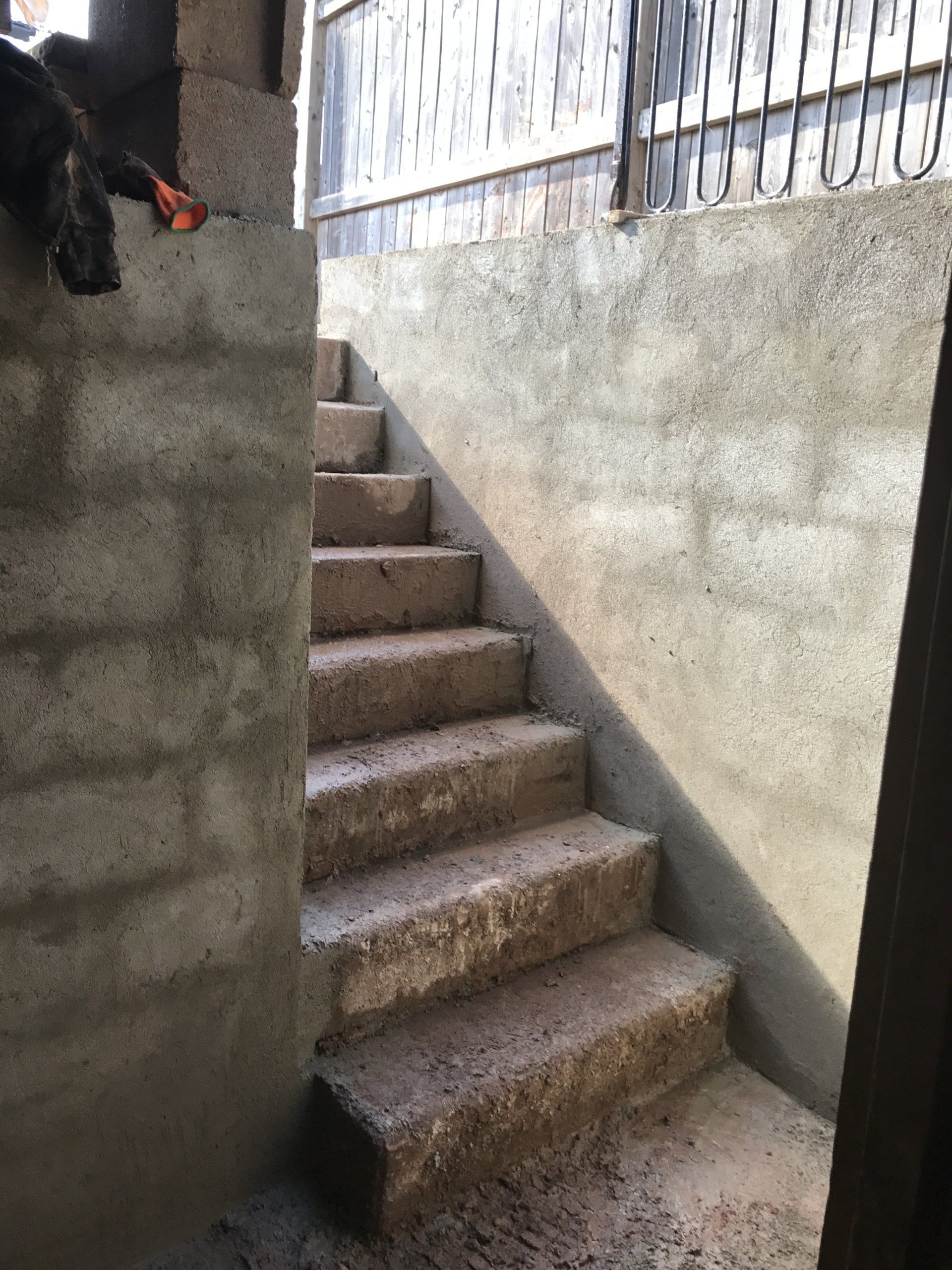 A dog is standing on a wall next to a set of stairs