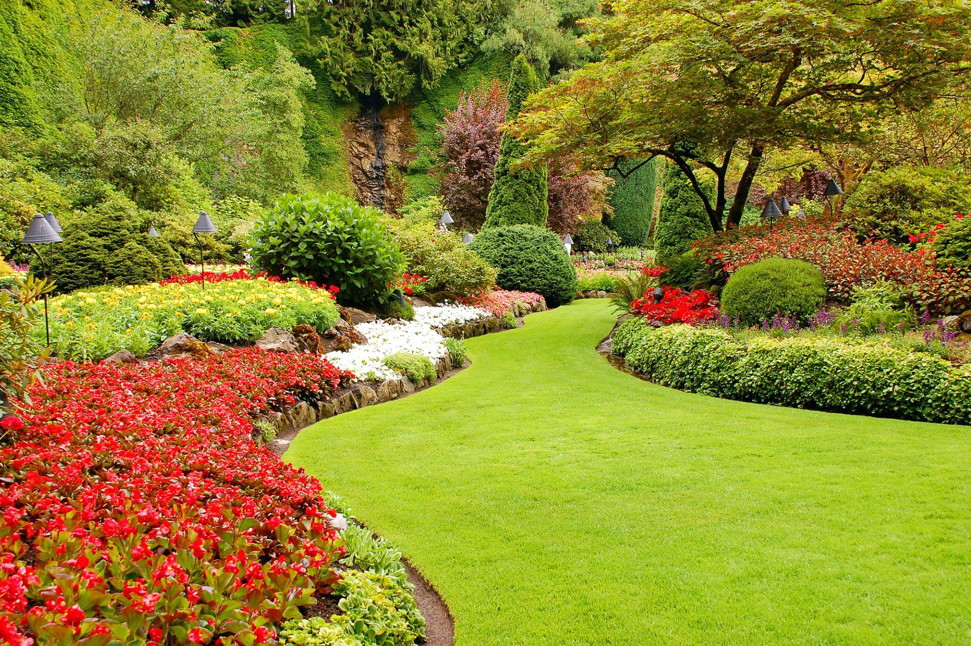 A lush green garden filled with lots of flowers and trees.