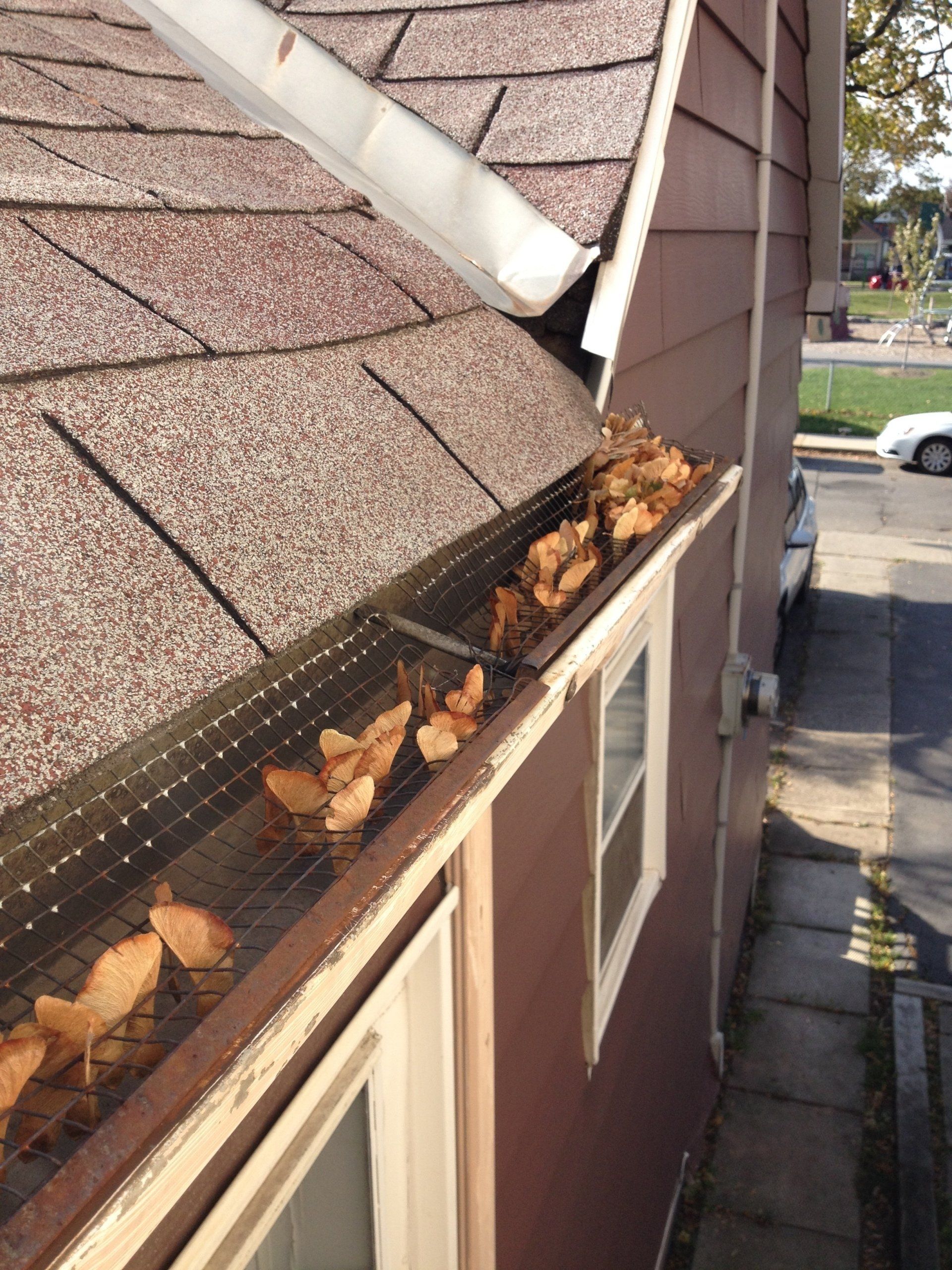 A house with a gutter full of leaves on the side