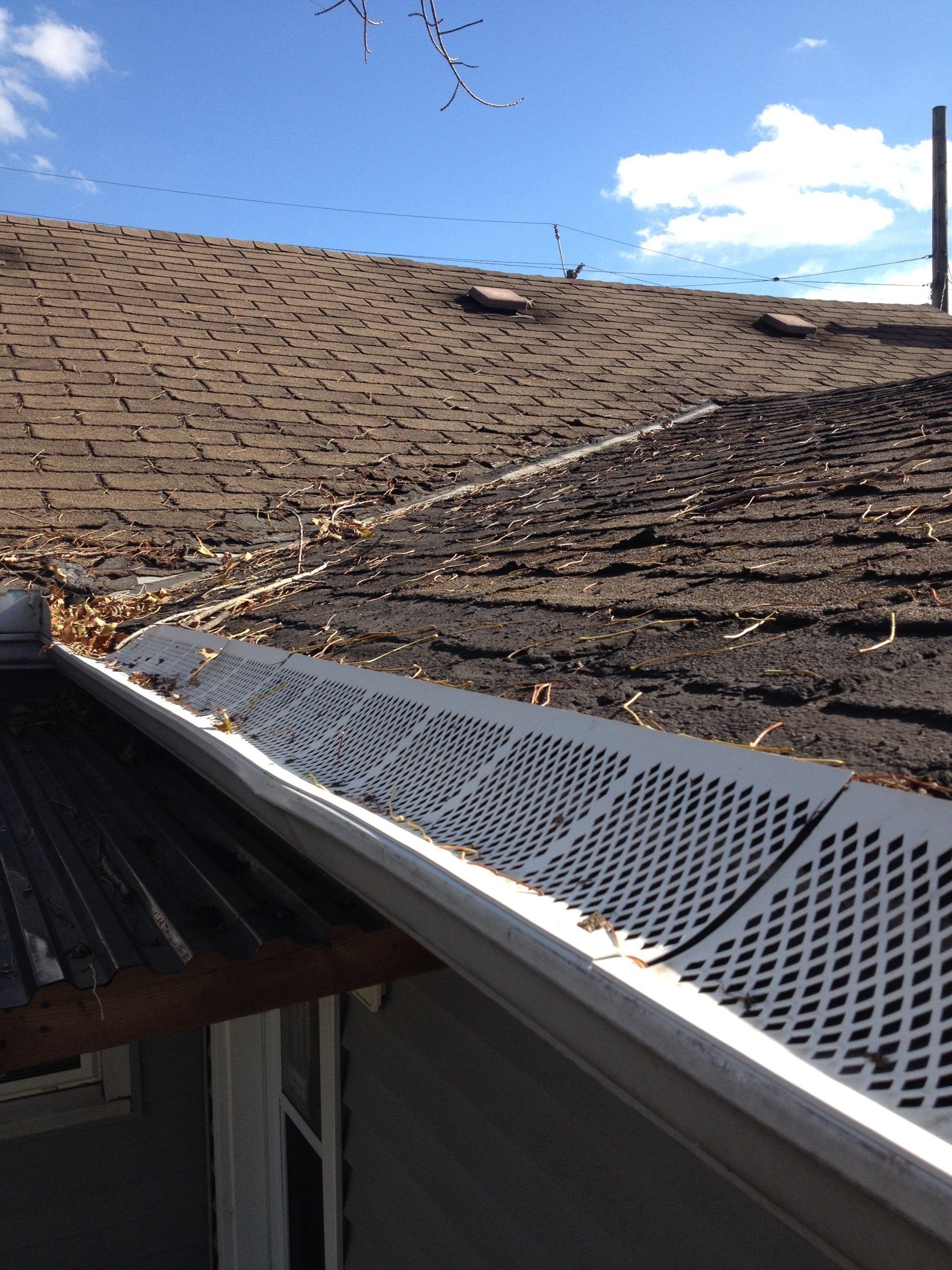 A roof with a gutter that is covered in leaves