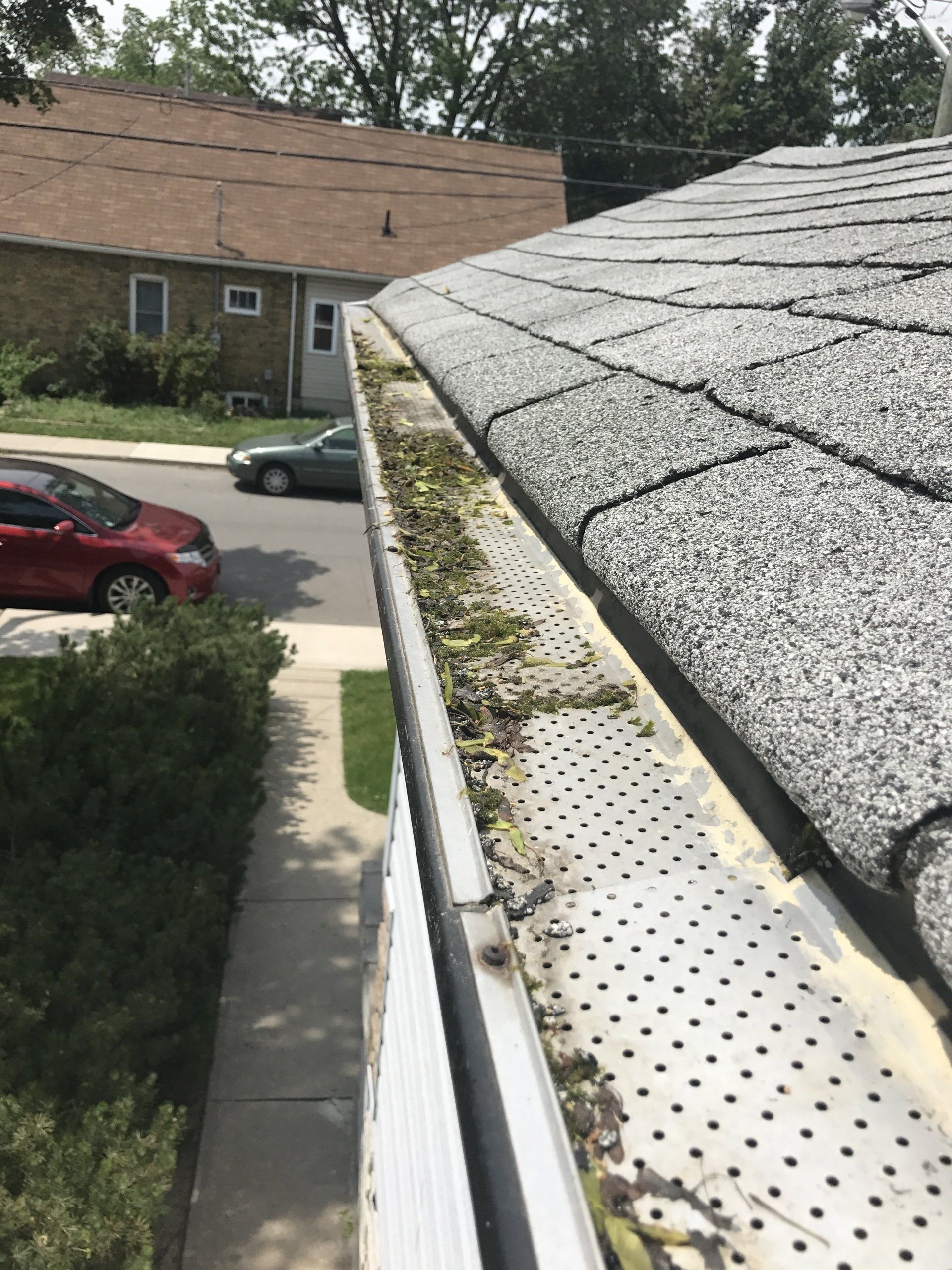 A gutter with a lot of leaves on it is on the roof of a house.