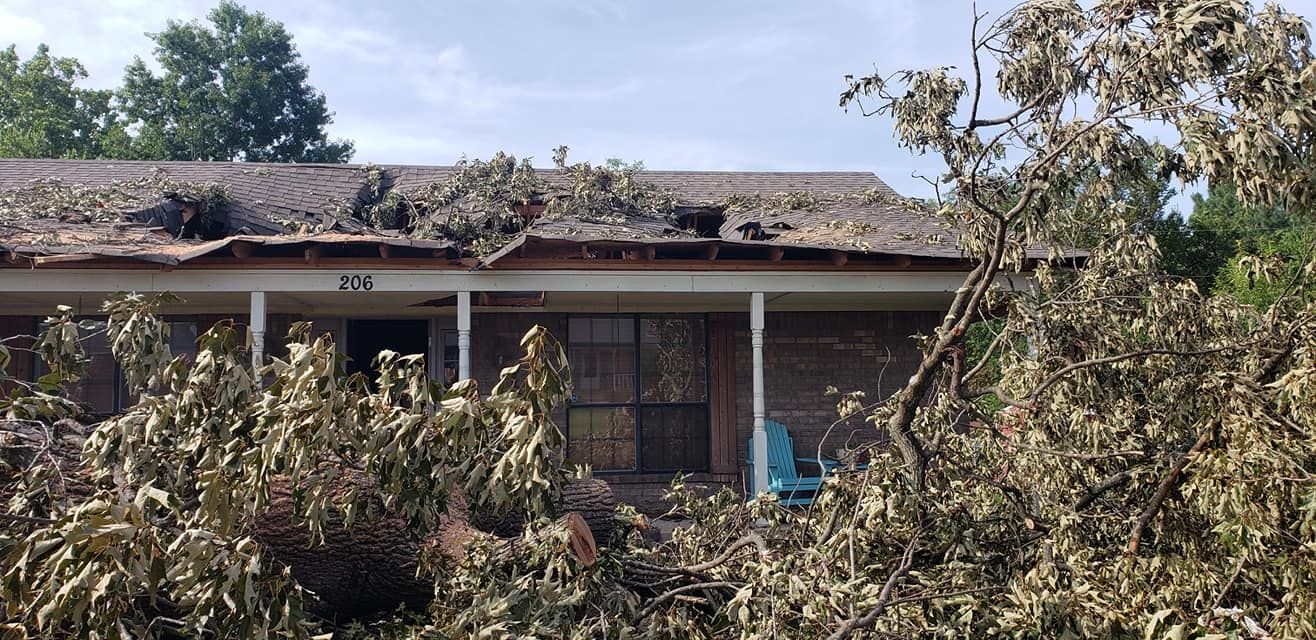 tree damage fixed by Mike Carroll Tree Service
