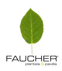 Une feuille verte avec une tige est sur un fond blanc.