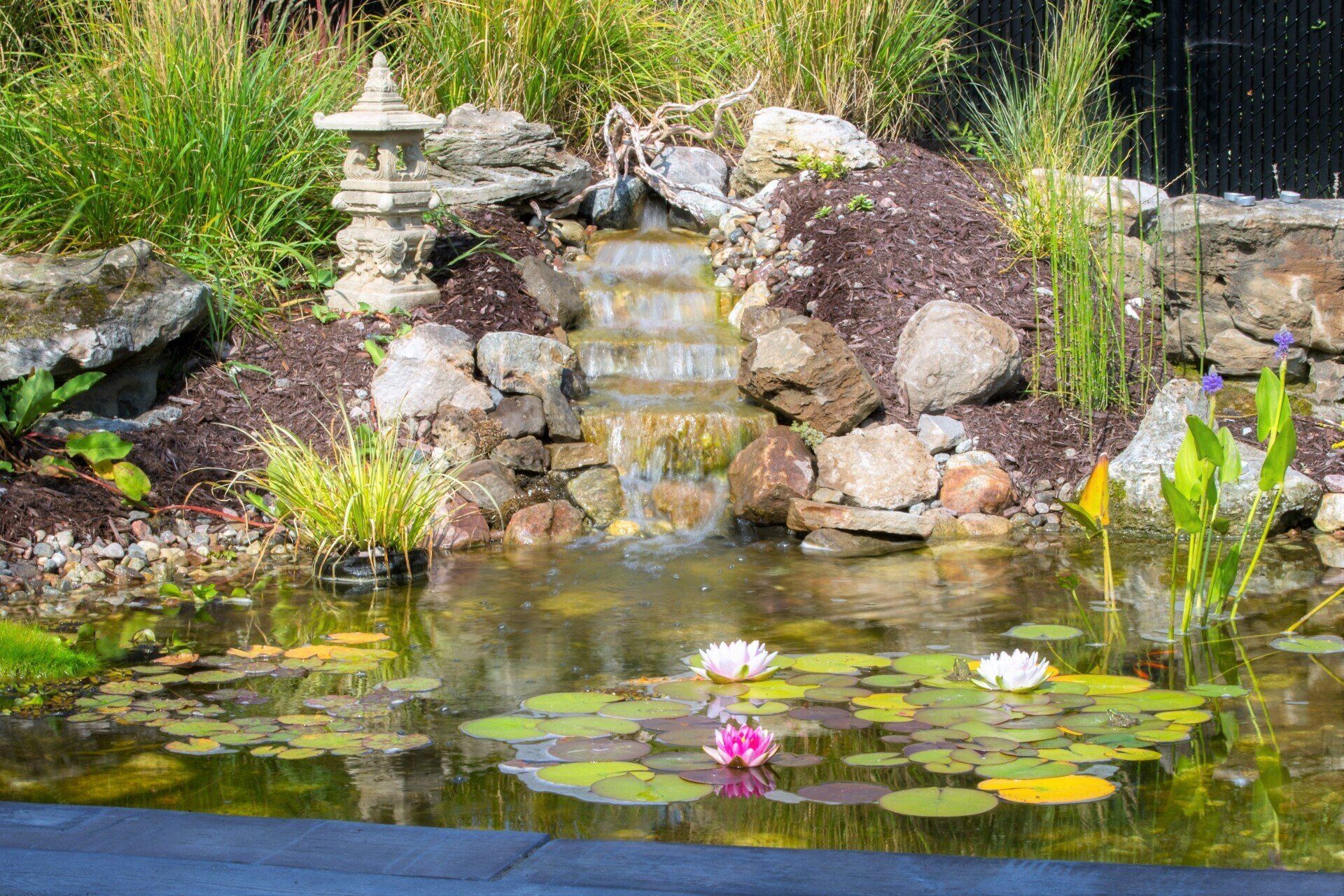 Un étang avec des nénuphars et une cascade en arrière-plan.