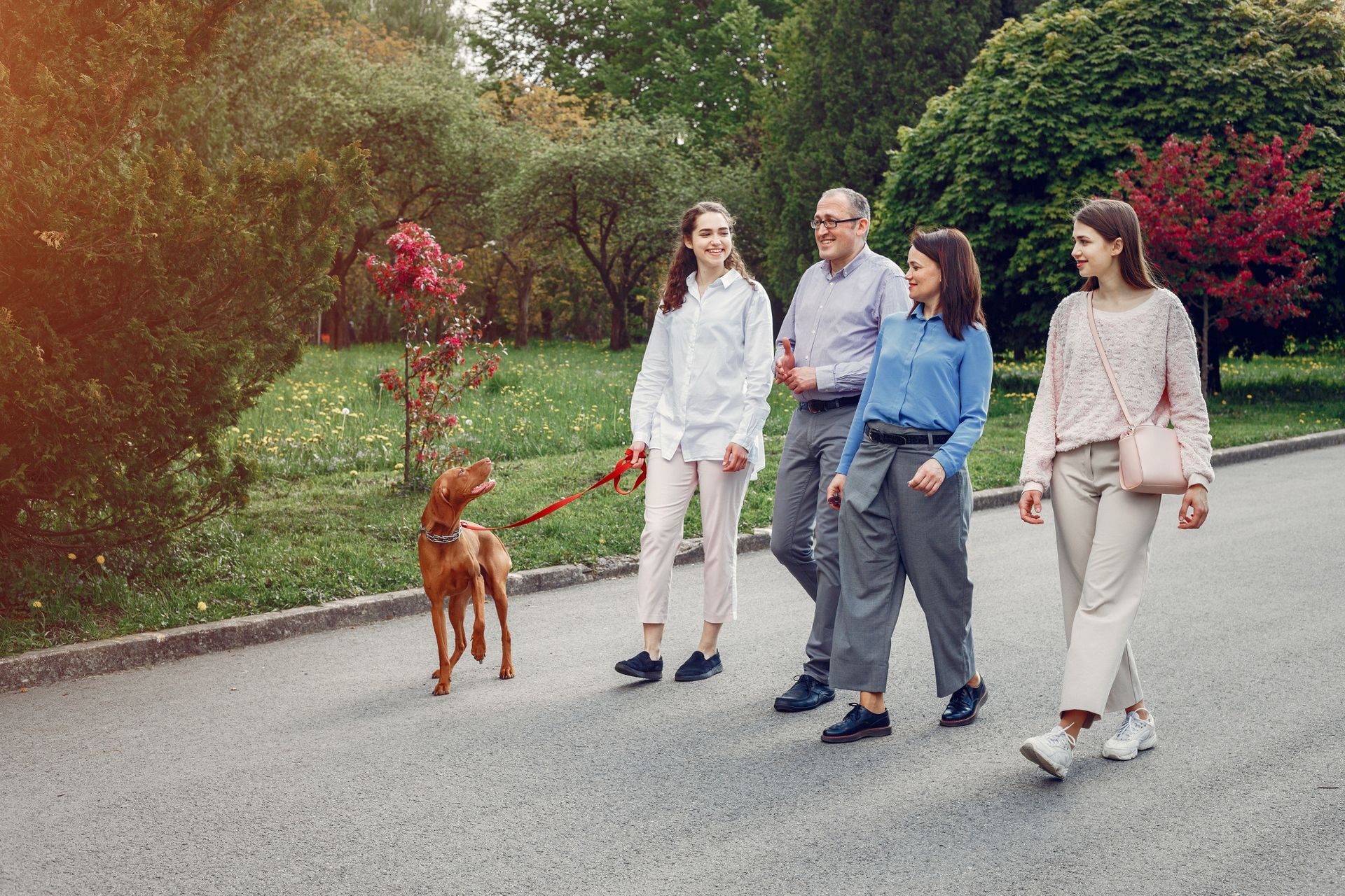 Family with dog walking on a path in a park; sunny day.