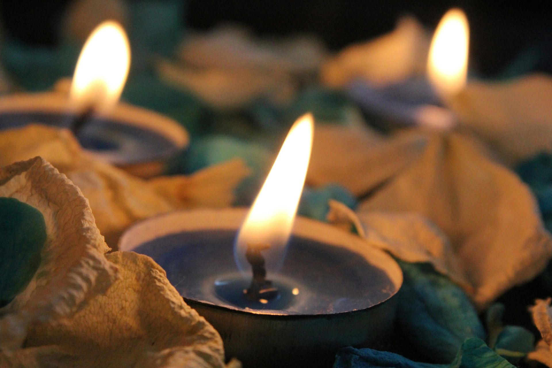 Three lit candles are surrounded by petals and leaves