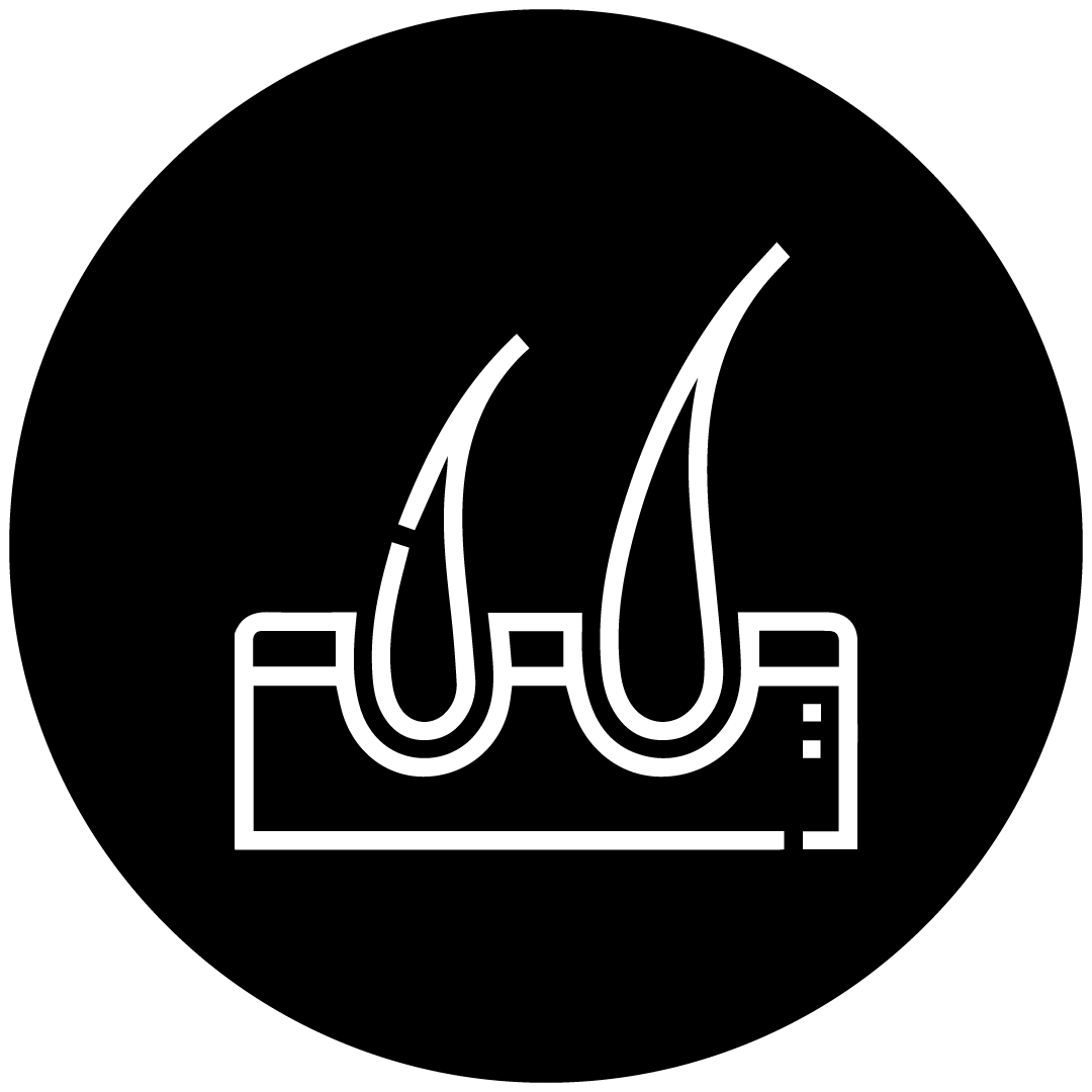 Un icono en blanco y negro de cabello en un círculo.