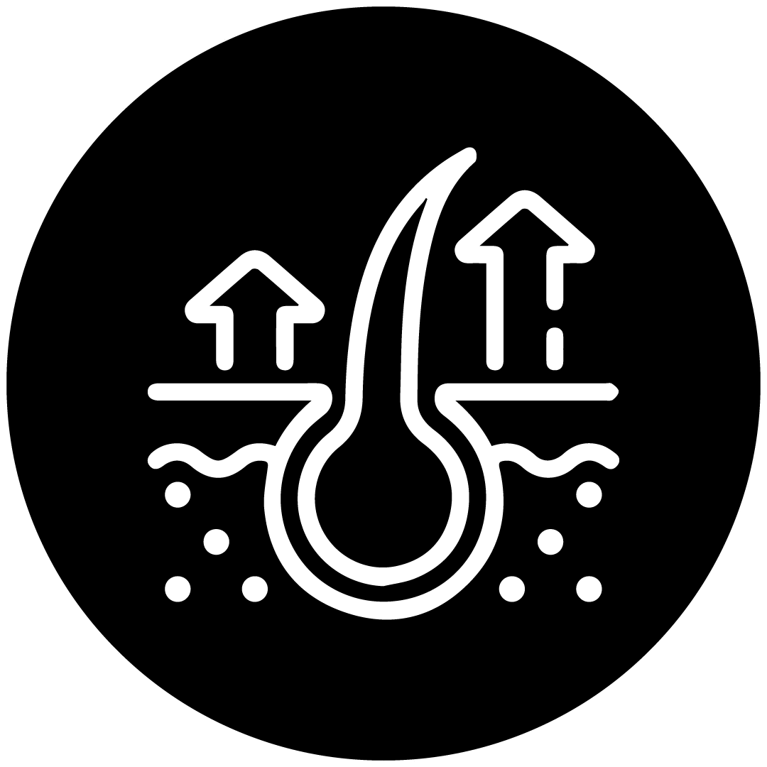 Un icono en blanco y negro de un folículo piloso con flechas que apuntan hacia arriba y hacia abajo.