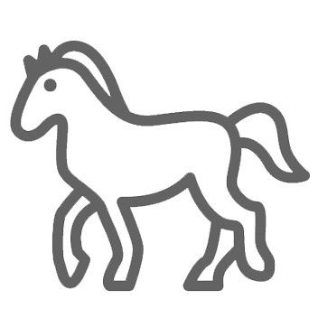 icon pferd