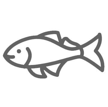 icon fisch