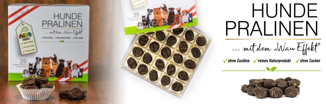 hunde pralinen