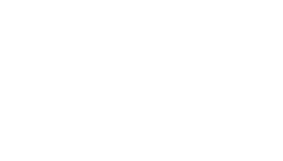 Pioneer Painters Logo