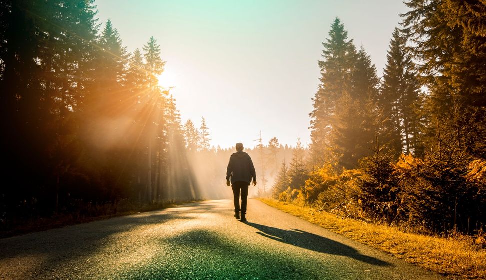 Eine Person, die bei Sonnenaufgang auf einem sonnenbeschienenen Waldweg spaziert