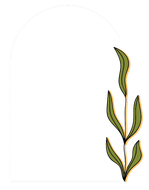 Yankee Attic