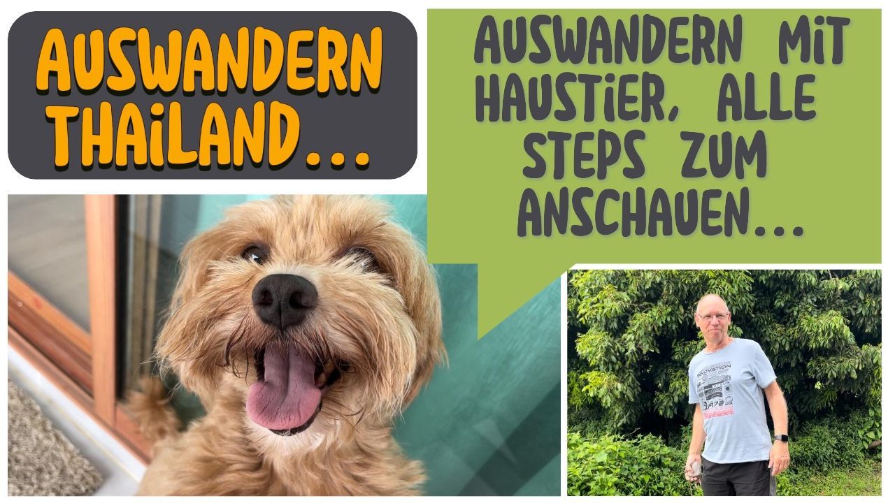 Auswandern mit Haustier, alle Steps zum anschauen
