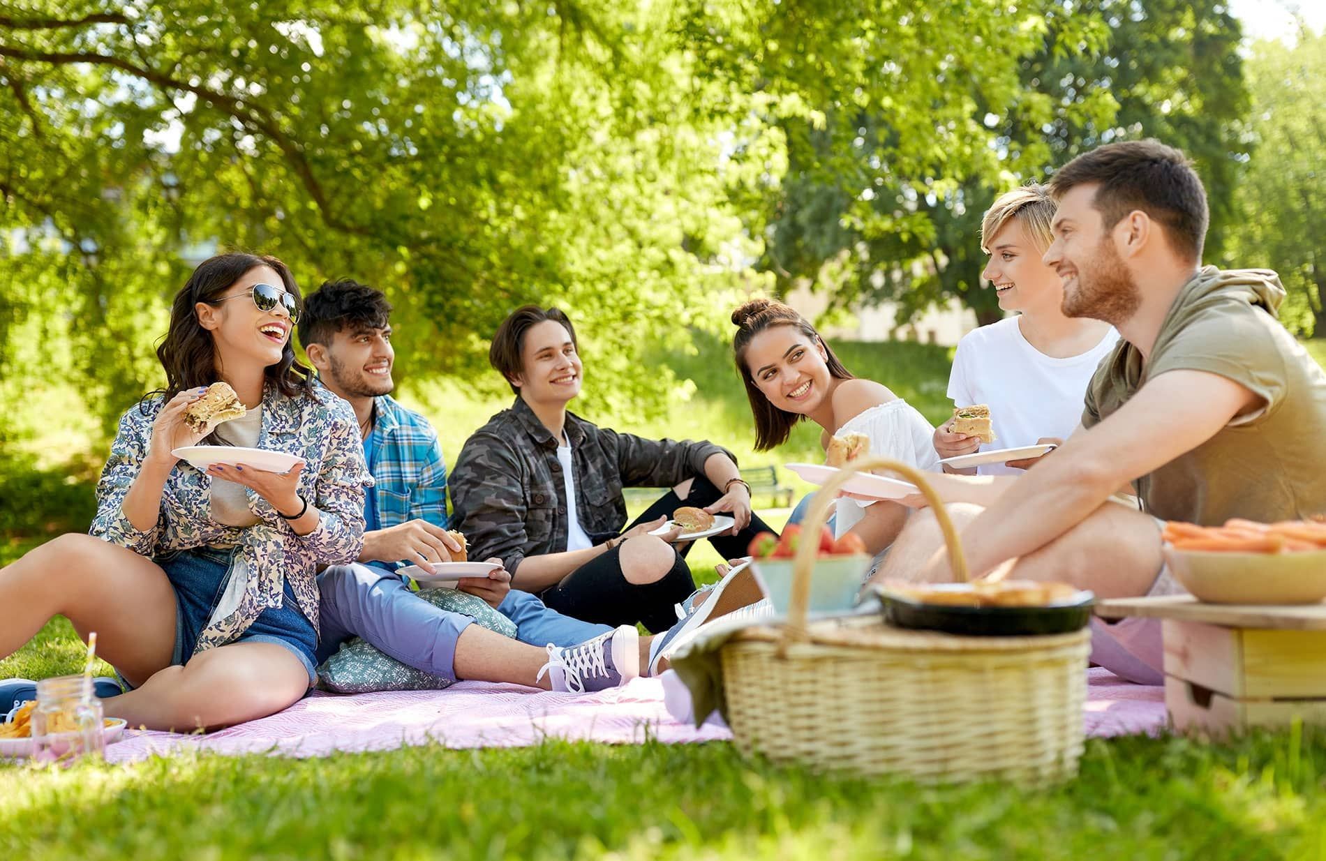 A group of people are having a picnic in the park.