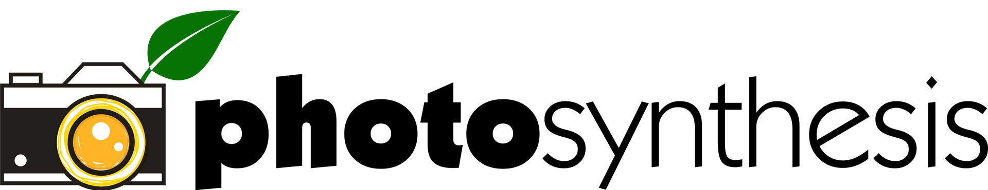 Photo Synthesis Logo