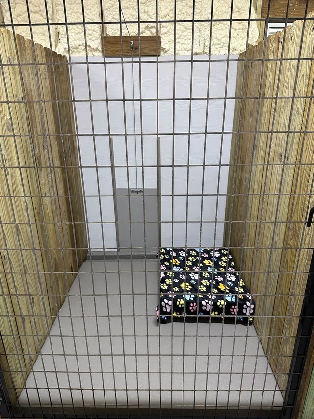 A small cage with a mattress inside of it