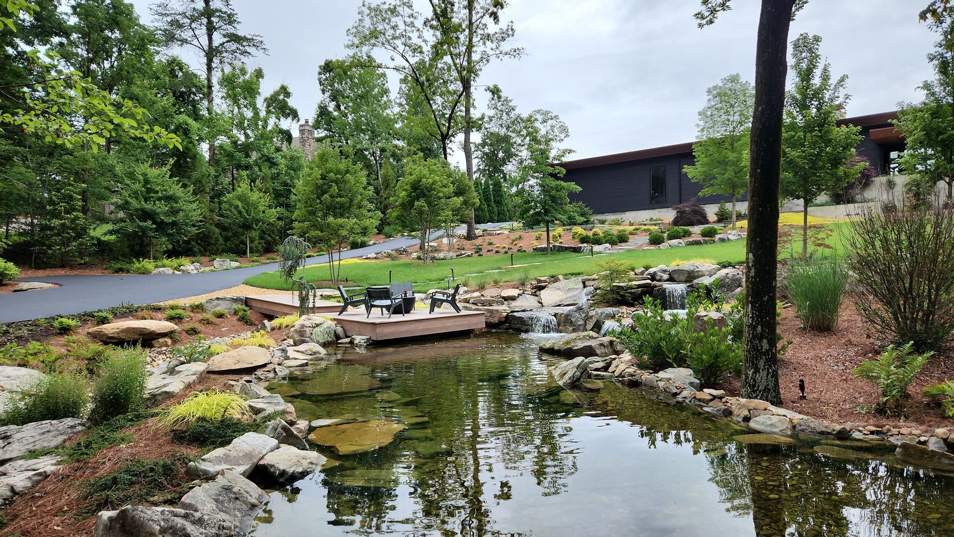 A pond in a garden with a house in the background