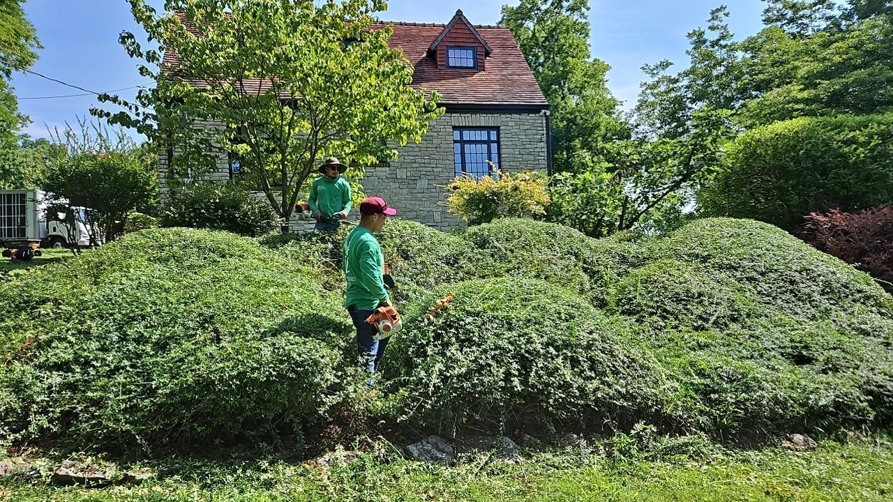 landscapers trimming shrubs in front of a house