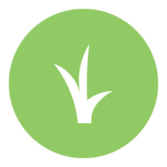 grass icon