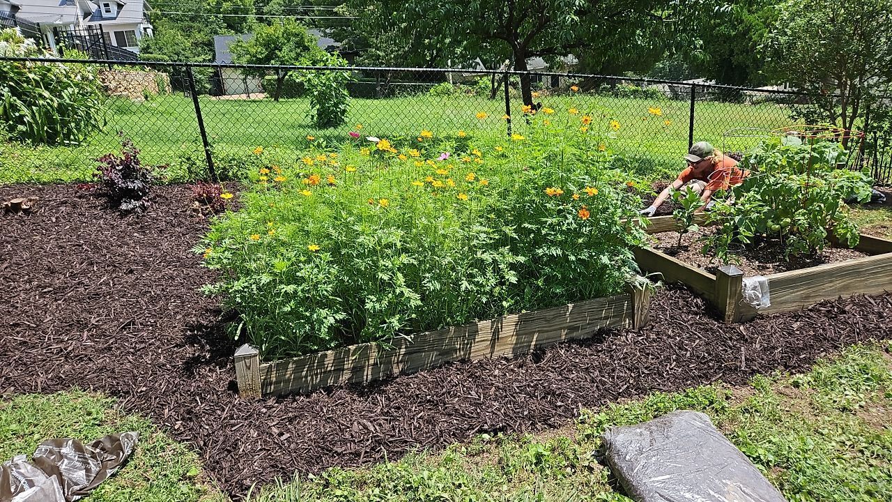 A garden filled with lots of plants and flowers behind a chain link fence.