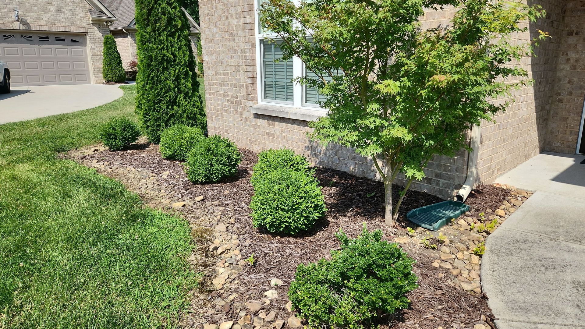A house with a lot of bushes and trees in front of it