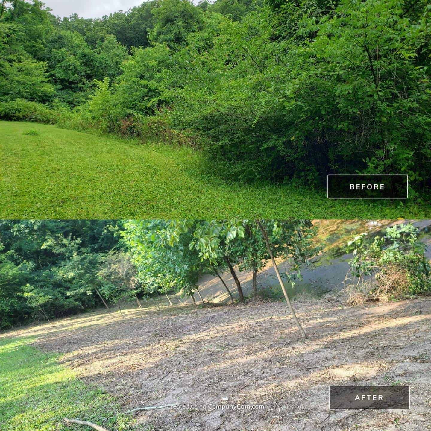 A before and after photo of a field with trees and dirt