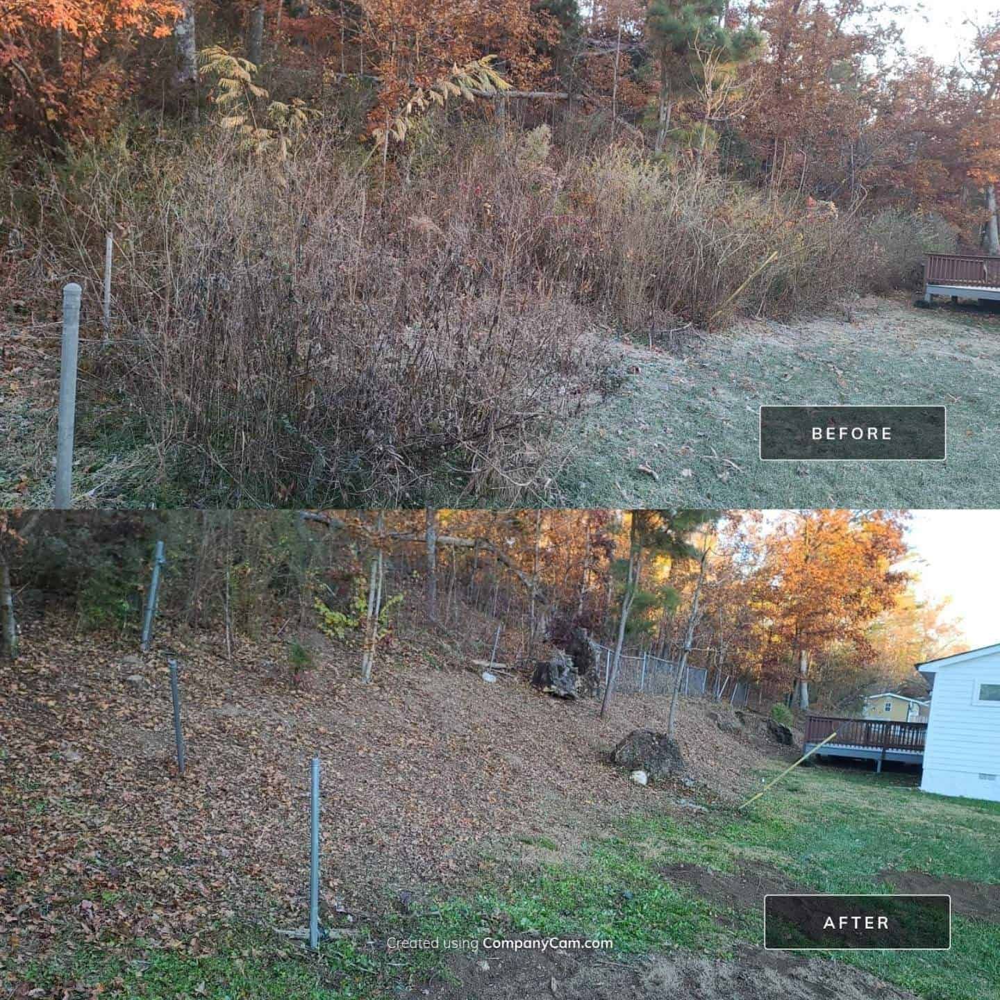 A before and after picture of a fenced in yard with the shrubs cleared out