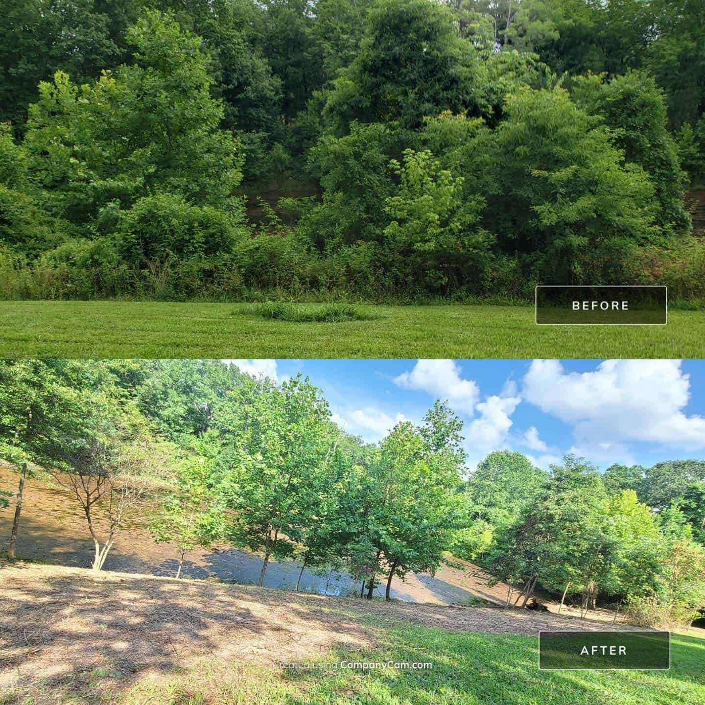 A before and after photo of a lush green field