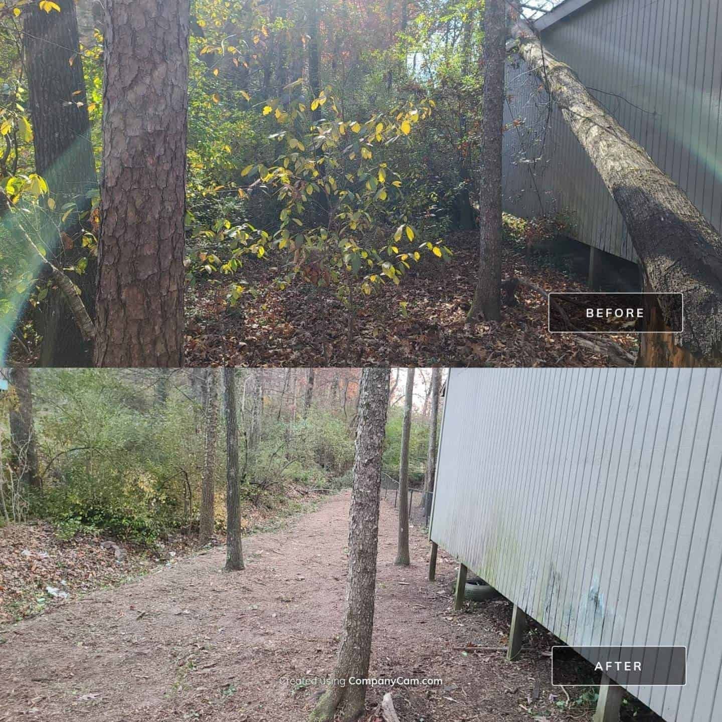 A collage of pictures shows a fence and a path in the woods